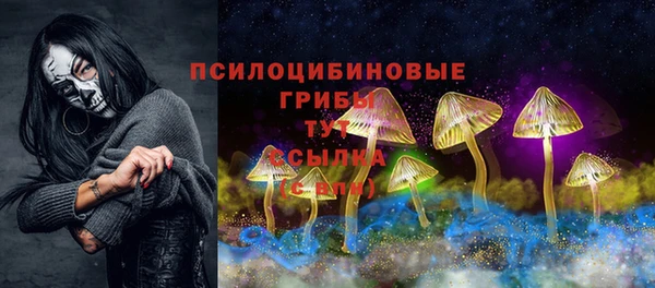 герыч Арсеньев