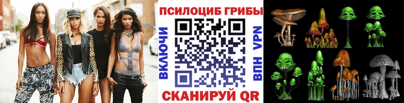 Галлюциногенные грибы Psilocybe  Балашов 